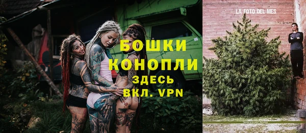 ПСИЛОЦИБИНОВЫЕ ГРИБЫ Нязепетровск