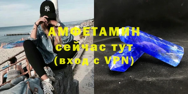 сатива Дмитриев